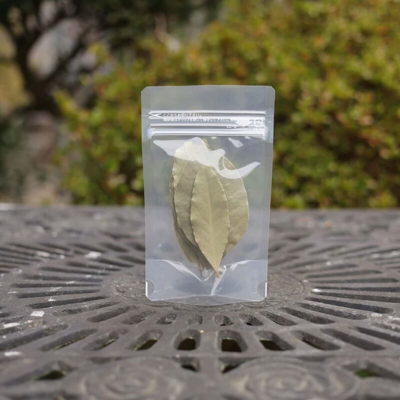 ベイリーフとは|煮込みの香りを支える月桂樹の葉