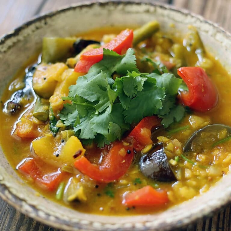 パクチーを添えた南インド風の野菜カレー(サンバル)を盛った器の接写