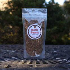 （個数限定）モスビーン