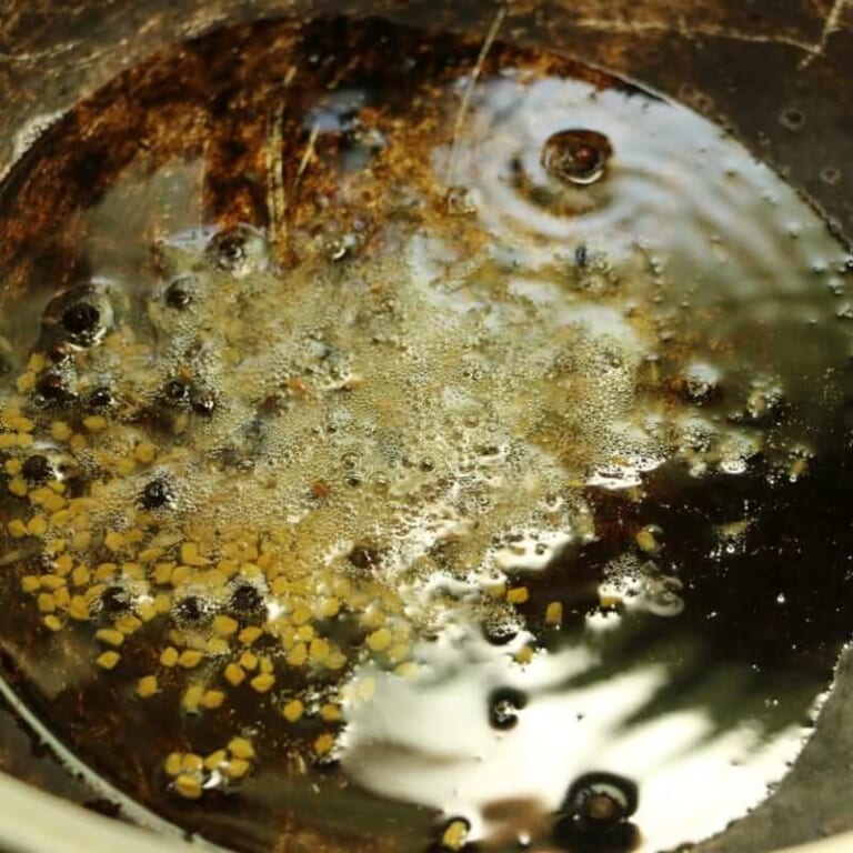 手順 1: 温めた鍋に油を入れスパイスA(ブラックペッパー、クミン、フェェネグリーク、ローリエ)を加えます。