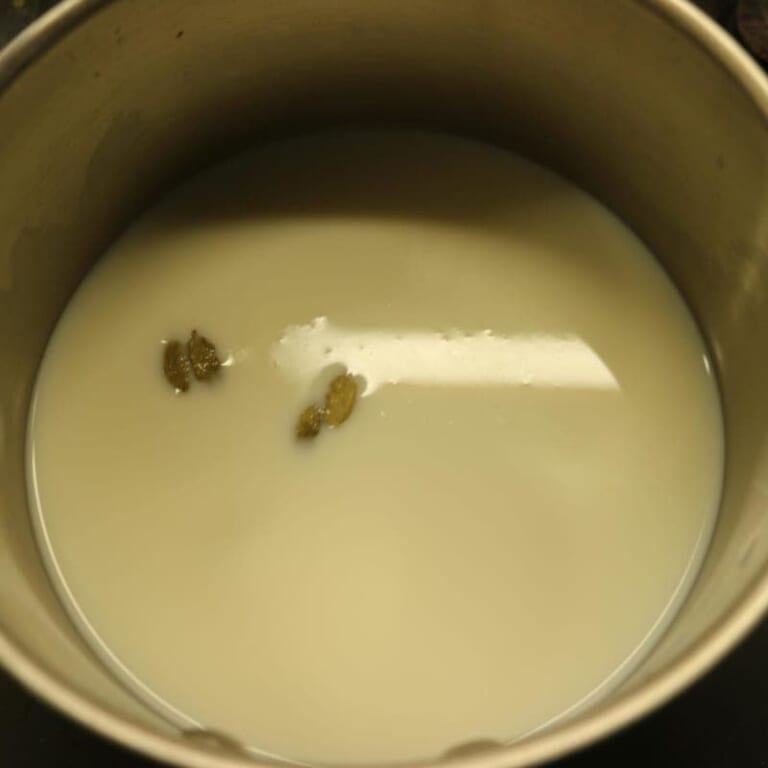 手順 1: 牛乳、カルダモンを鍋に入れ沸騰させます。