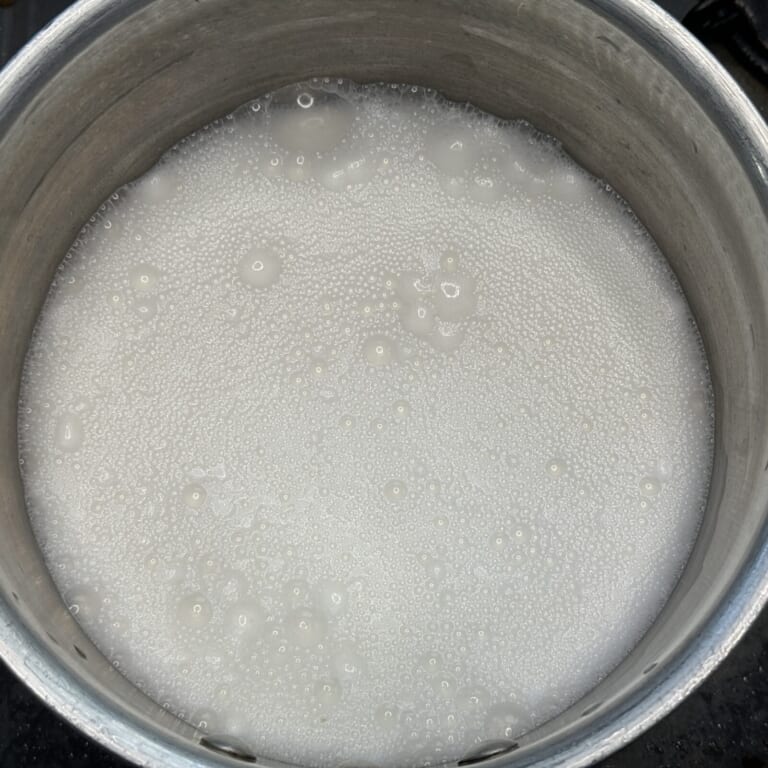 手順 1: ヨーグルトと水を混ぜ合わせ、鍋に入れ火にかける。