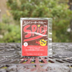 スパイシーポークカレー