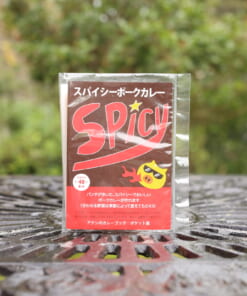 スパイシーポークカレー