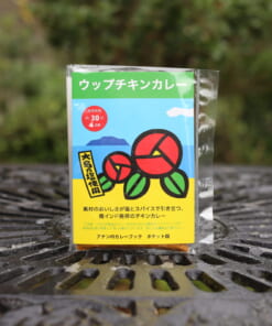 ウップチキンカレー
