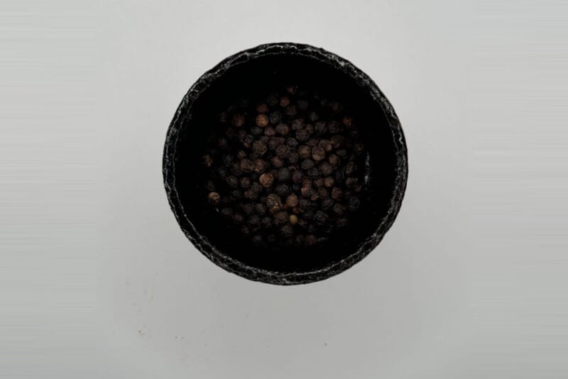 黒胡椒とは|スパイスの王が受け持つ「香りある辛味」の正体